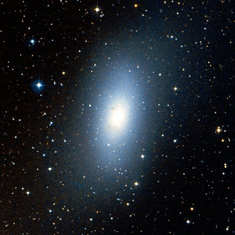 DSS image of region near elliptical galaxy NGC 205, also known as M110