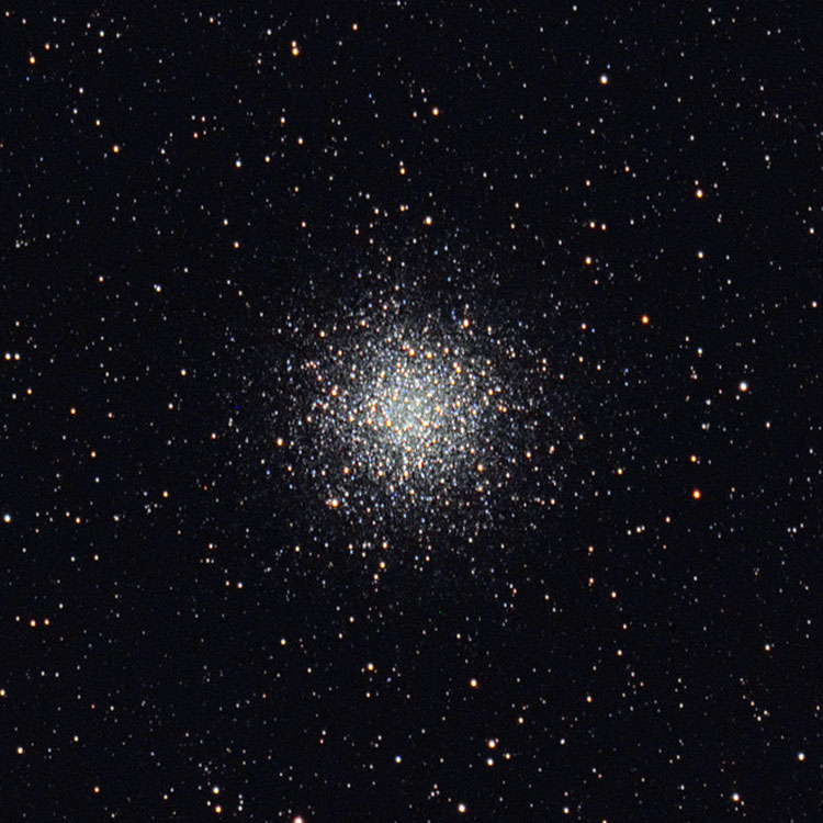 Wikimedia Commons image of globular cluster NGC 6809, also known as M55