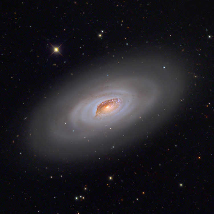 Mount Lemmon SkyCenter image of spiral galaxy NGC 4826, the Black Eye Galaxy, also known as M64