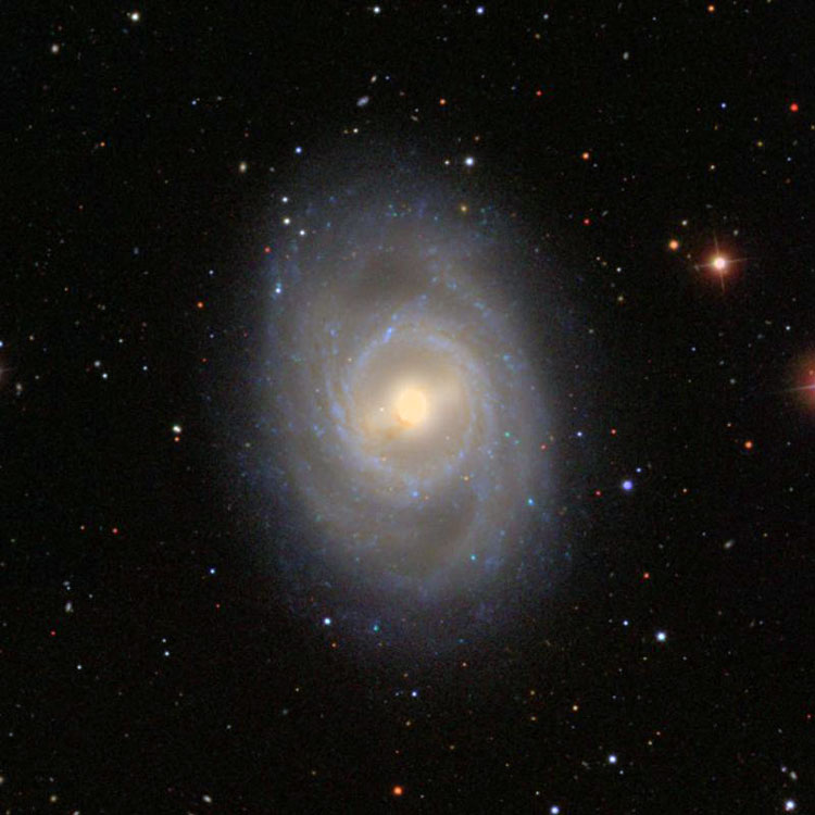 SDSS image of region near spiral galaxy NGC 3351, also known as M95