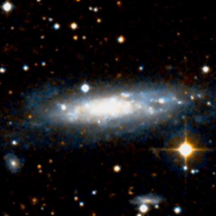 DSS image of spiral galaxy NGC 1003
