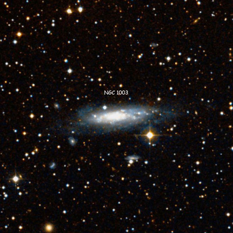DSS image of region near spiral galaxy NGC 1003