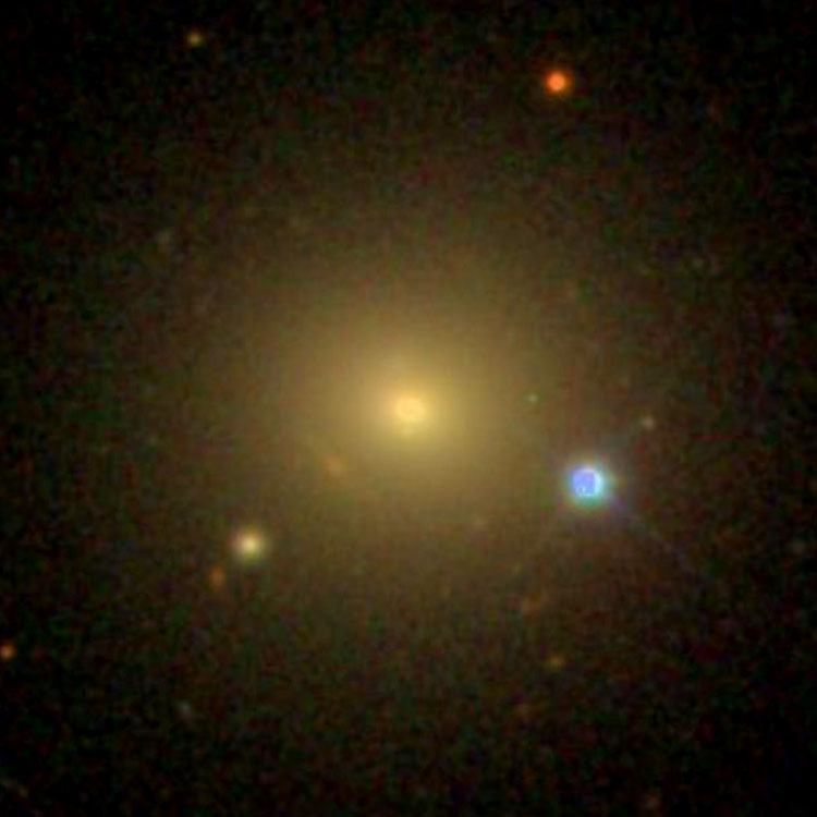 SDSS image of elliptical galaxy NGC 1004
