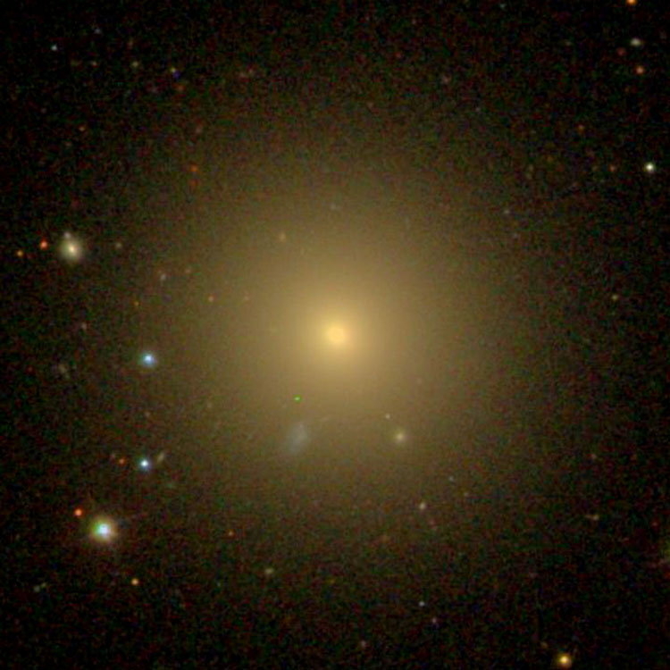 SDSS image of elliptical galaxy NGC 1016