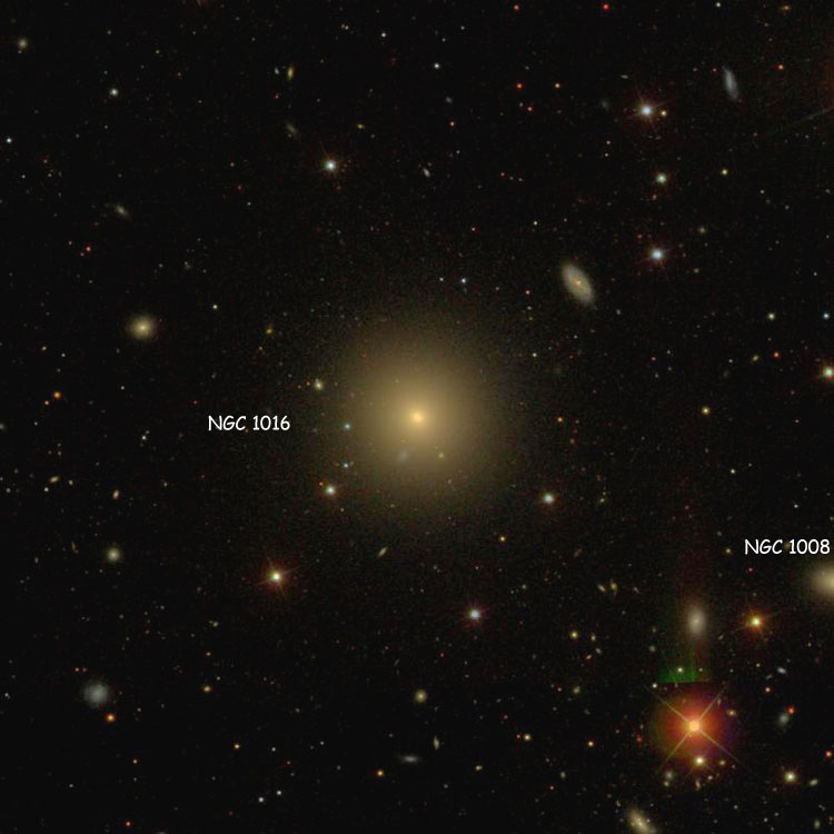 SDSS image of region near elliptical galaxy NGC 1016, also showing NGC 1008