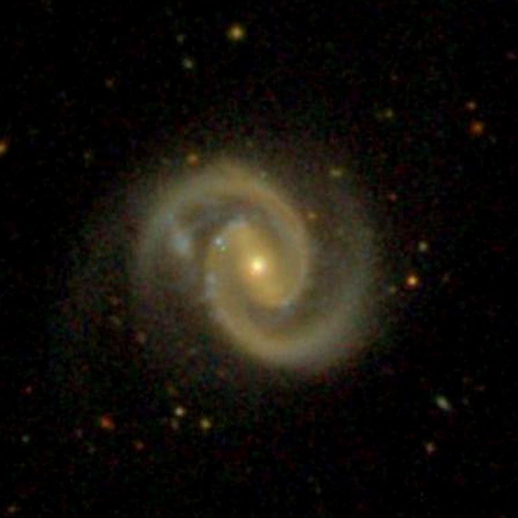 SDSS image of spiral galaxy NGC 1019