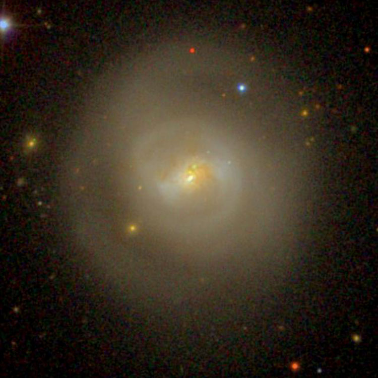 SDSS image of spiral galaxy NGC 1022