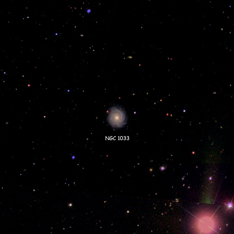 SDSS image of region near spiral galaxy NGC 1033