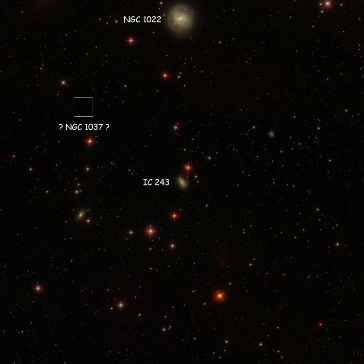 SDSS image of region near Swift's position for NGC 1037, if it is actually a misrecorded observation of IC 243