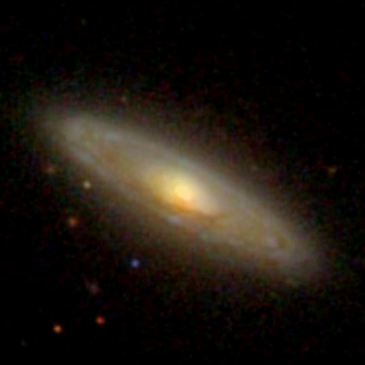 SDSS image of spiral galaxy NGC 1038