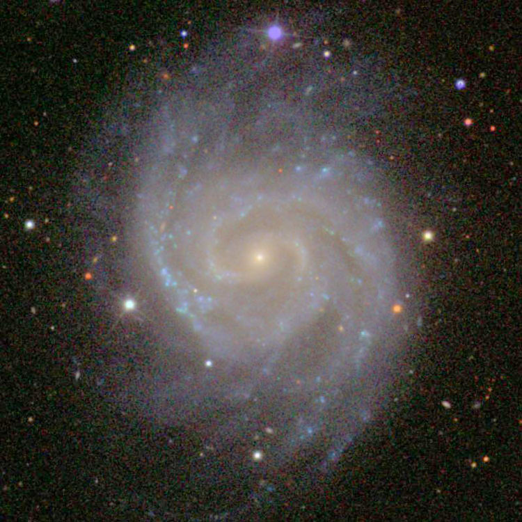 SDSS image of spiral galaxy NGC 1042