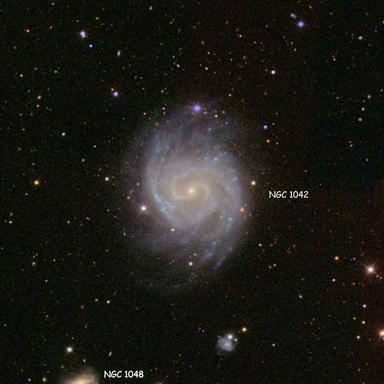 SDSS image of region near spiral galaxy NGC 1042, also showing part of NGC 1048
