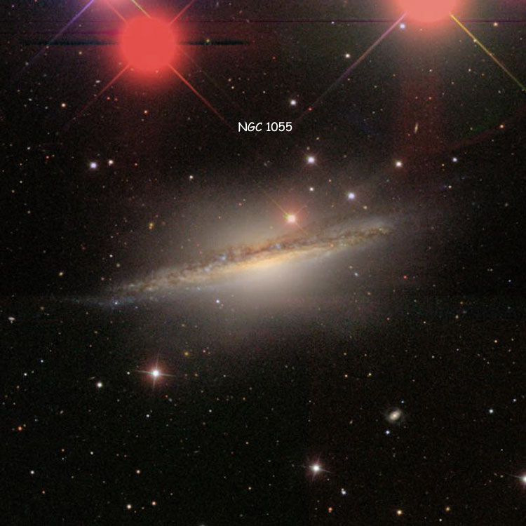 SDSS image of region near spiral galaxy NGC 1055