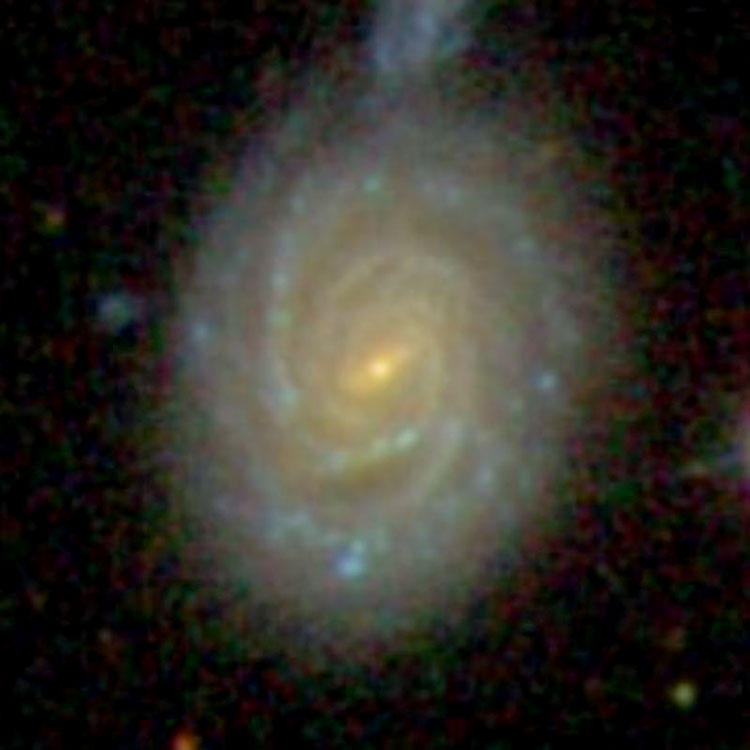 SDSS image of spiral galaxy NGC 105