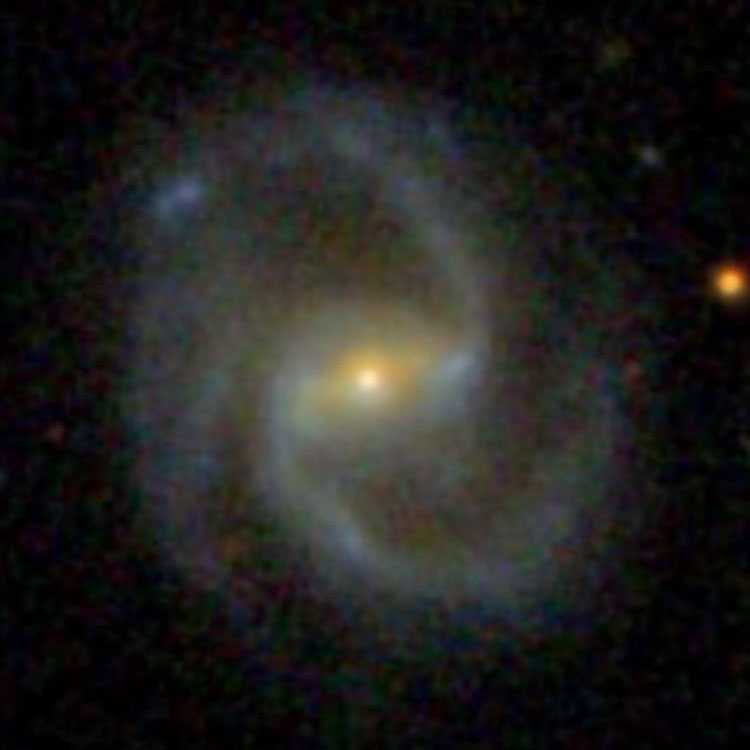 SDSS image of spiral galaxy NGC 1064