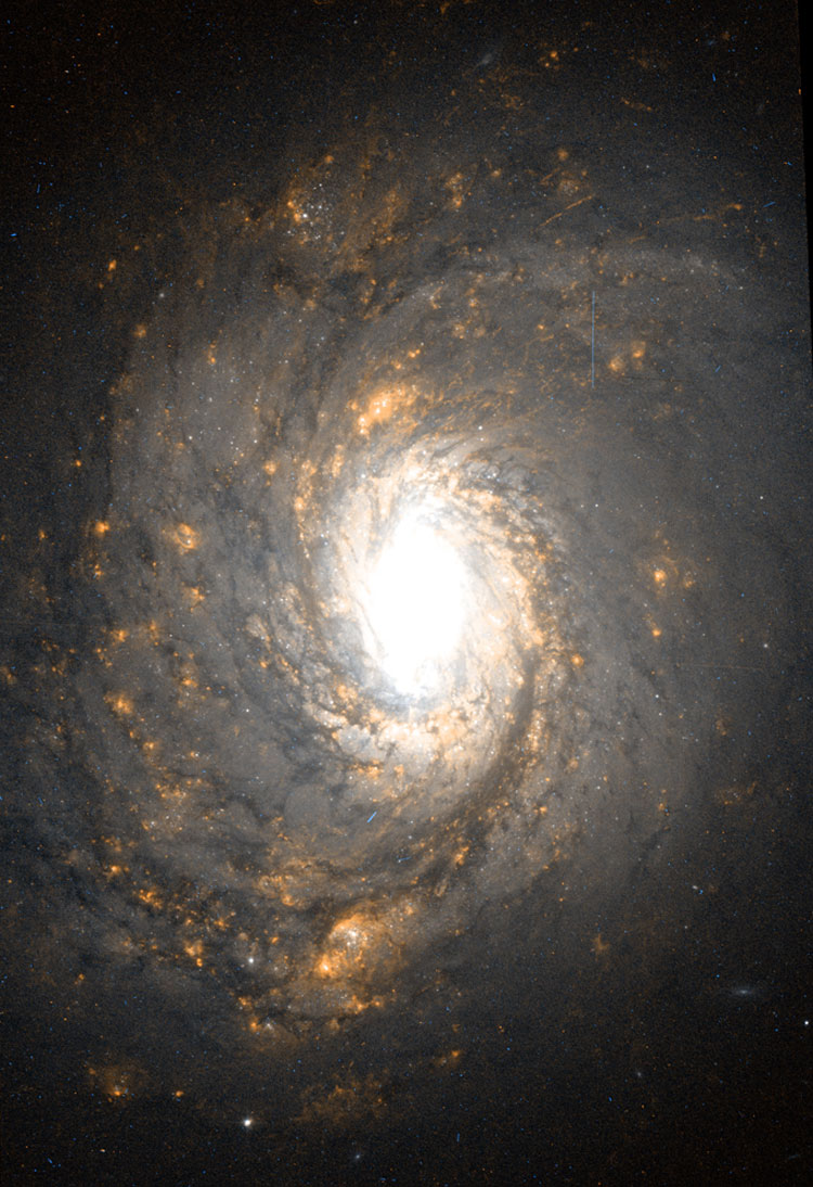 Partially processed HST image of central portion of spiral galaxy NGC 1068, also known as M77