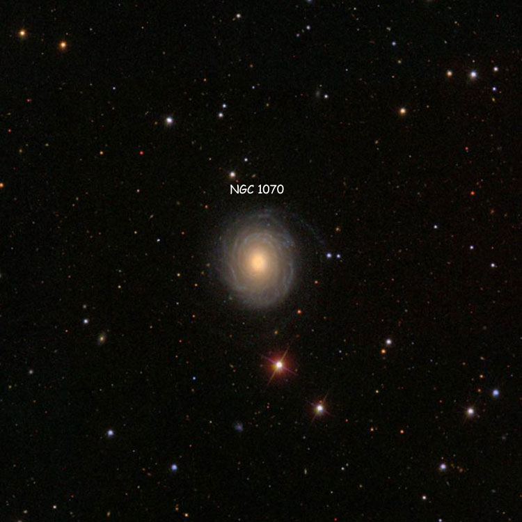 SDSS image of region near spiral galaxy NGC 1070
