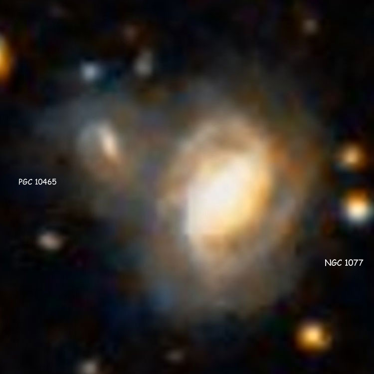 DSS image of spiral galaxy NGC 1077 and PGC 10465, also known as NGC 1077B, which are probably a physically interacting pair