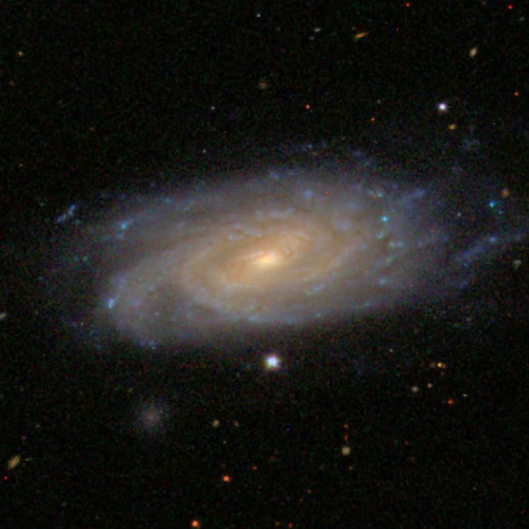 SDSS image of spiral galaxy NGC 1090