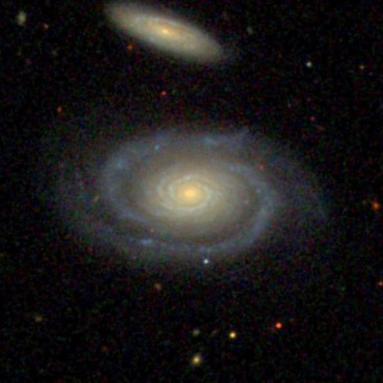 SDSS image of spiral galaxy NGC 1094