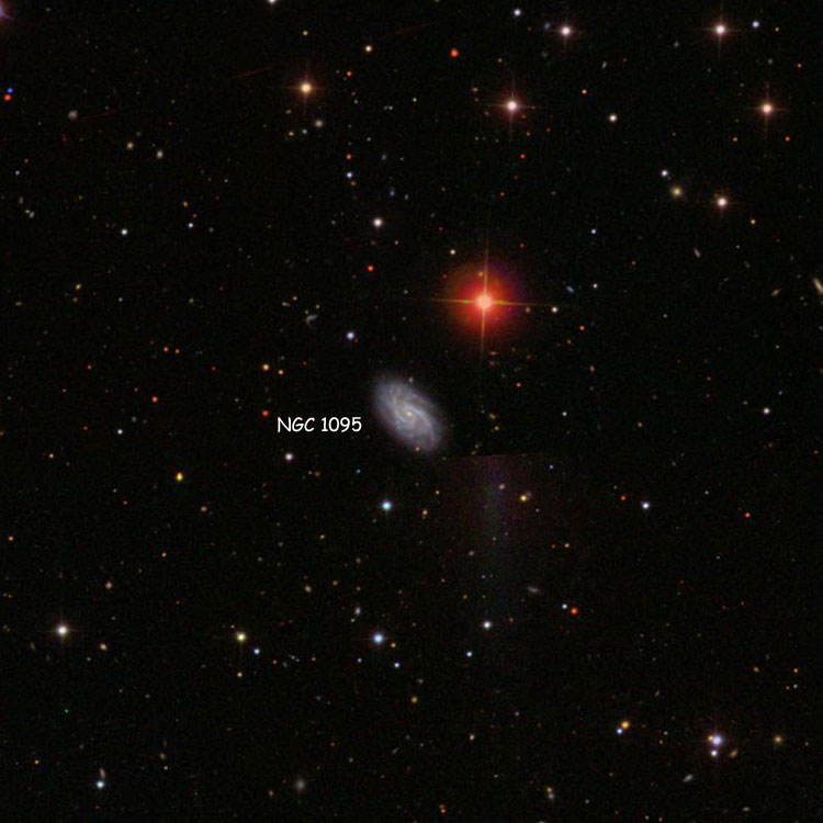 SDSS image of region near spiral galaxy NGC 1095