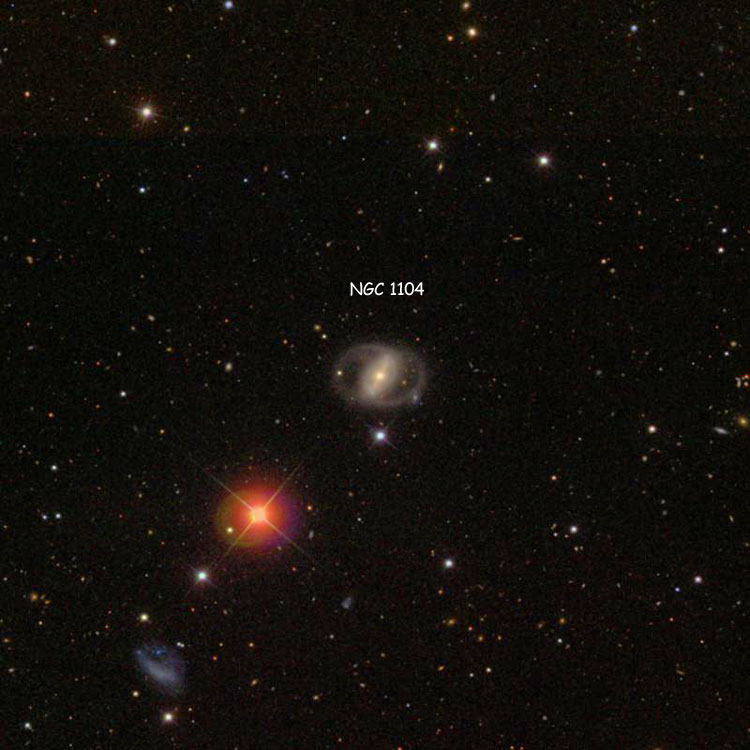 SDSS image of region near lenticular galaxy NGC 1104