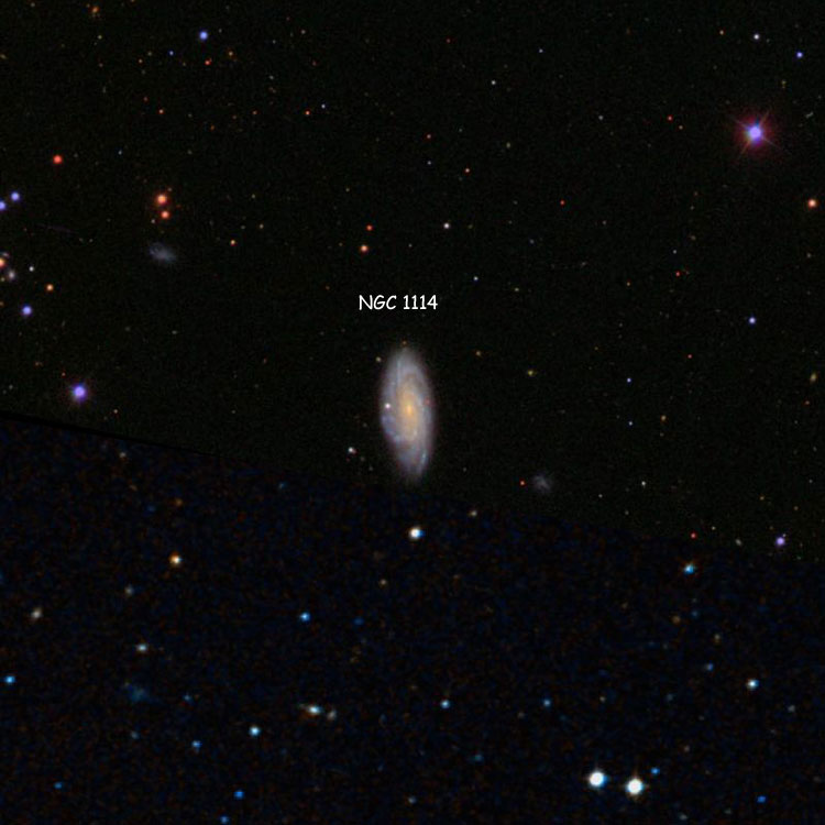 SDSS image of region near spiral galaxy NGC 1114, overlaid on a DSS background to fill in missing areas