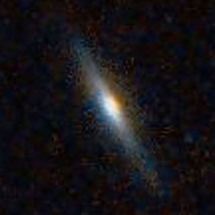 DSS image of spiral galaxy NGC 1116