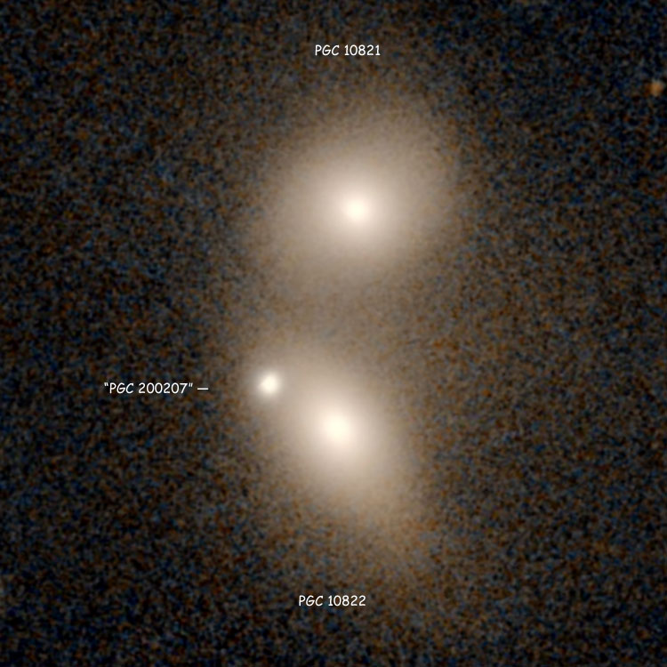 PanSTARRS image of elliptical galaxy PGC 10822, which might be NGC 1117; also shown are PGC 200207 and PGC 10821