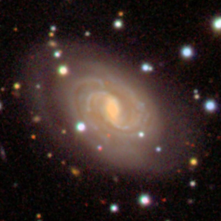 SDSS image of spiral galaxy NGC 1122