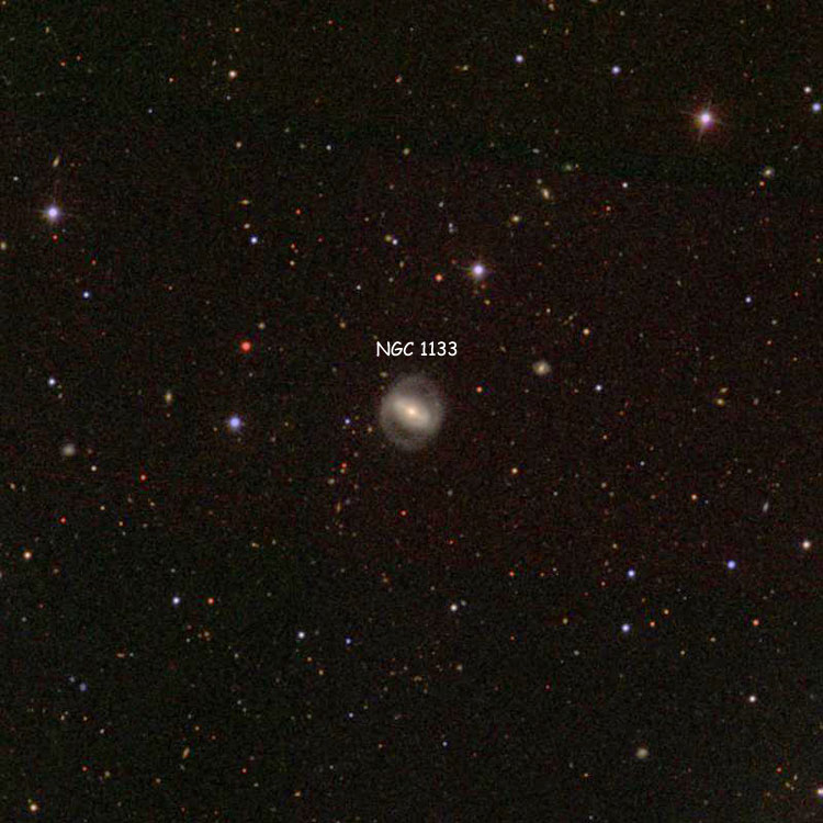 SDSS image of region near spiral galaxy NGC 1133