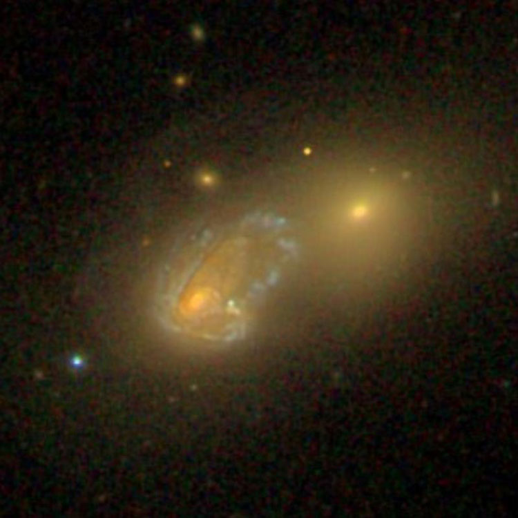 SDSS image of lenticular galaxy NGC 1143 and its companion, spiral galaxy NGC 1144, which comprise Arp 118