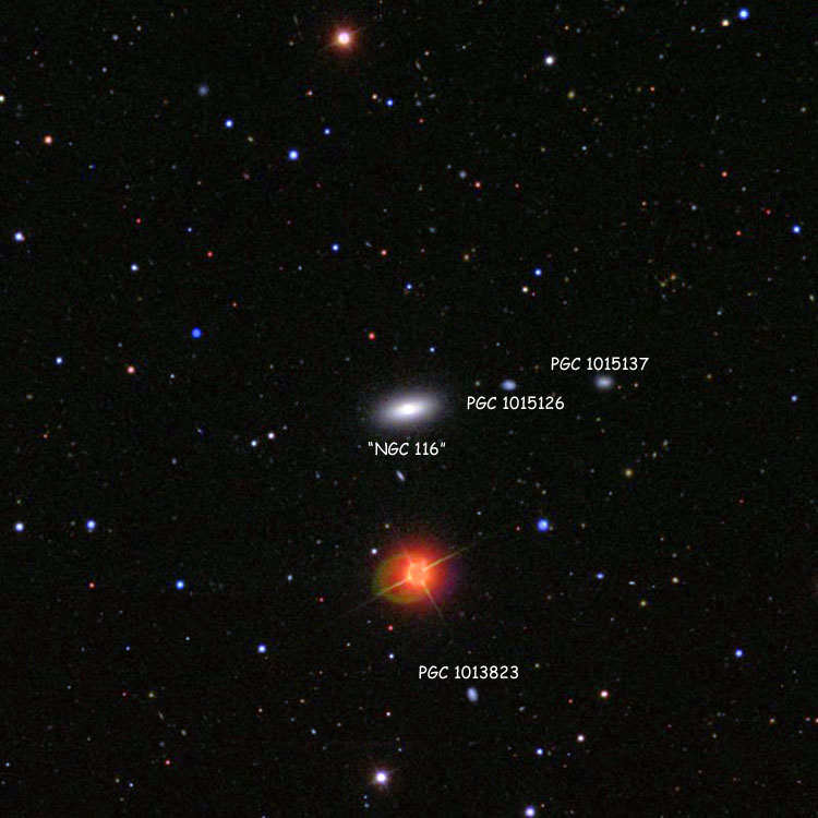 SDSS image of region near lenticular galaxy PGC 1671, which is usually assumed to be NGC 116, also showing numerous PGC objects