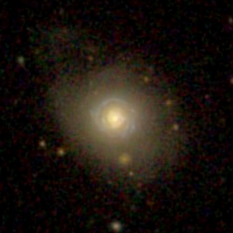 SDSS image of spiral galaxy NGC 118