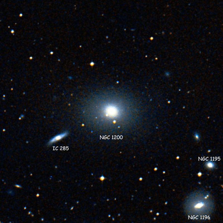 DSS image of region near lenticular galaxy NGC 1200, also showing NGC 1195 and NGC 1196, and IC 285