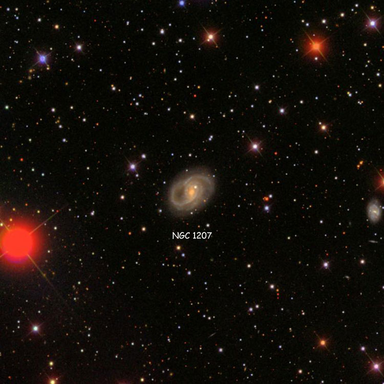 SDSS image of region near spiral galaxy NGC 1207