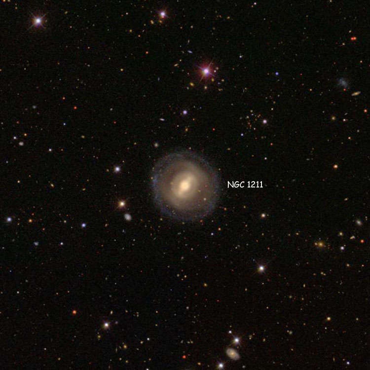 SDSS image of region near lenticular galaxy NGC 1211