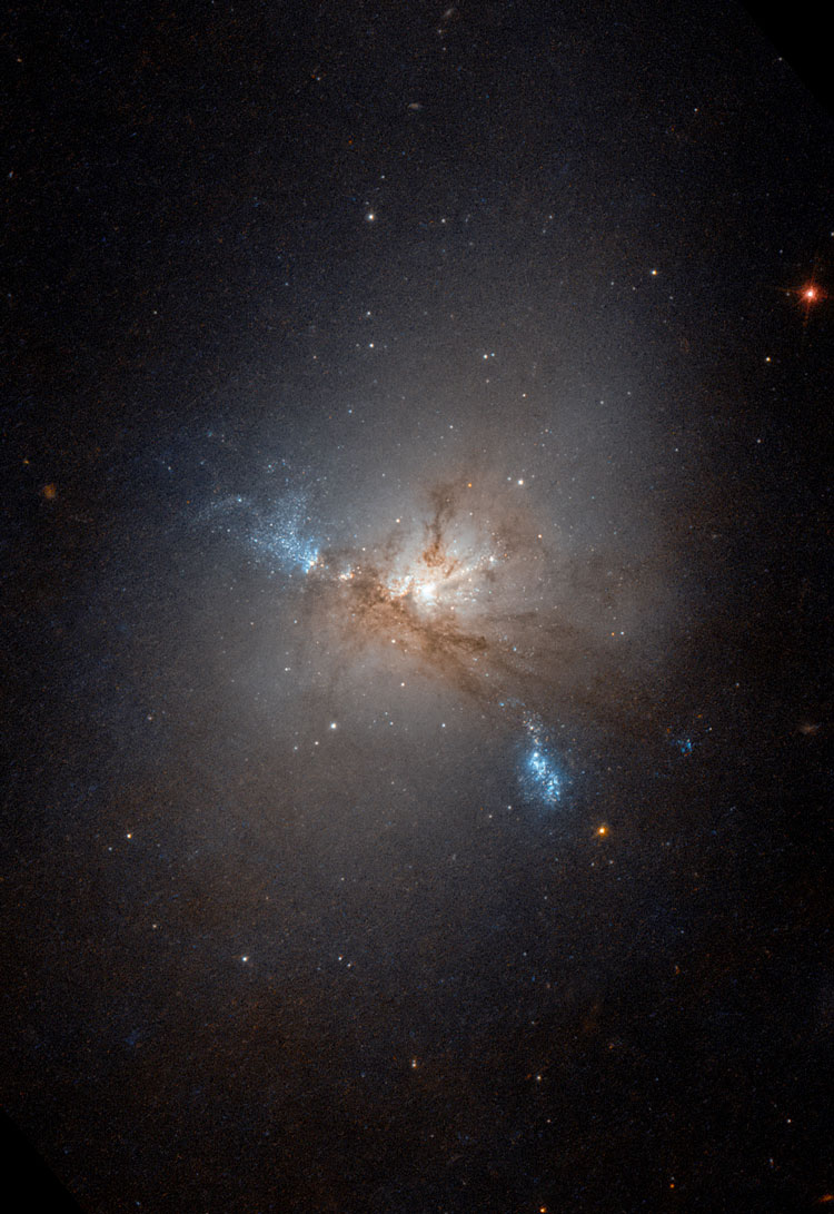 HST image of lenticular galaxy NGC 1222 and its dwarf companions