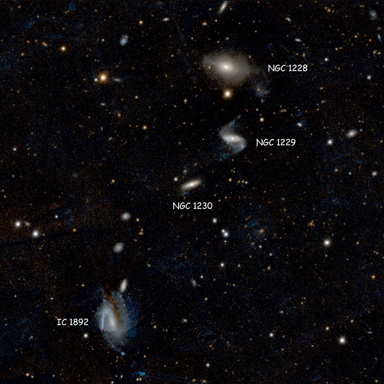 DSS image of region near lenticular galaxy NGC 1230; also shown are NGC 1228, NGC 1229 and IC 1892, which with NGC 1230 comprise Arp 332