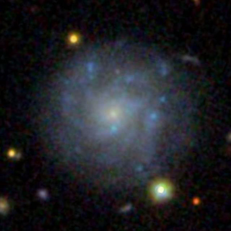 SDSS image of spiral galaxy NGC 1231