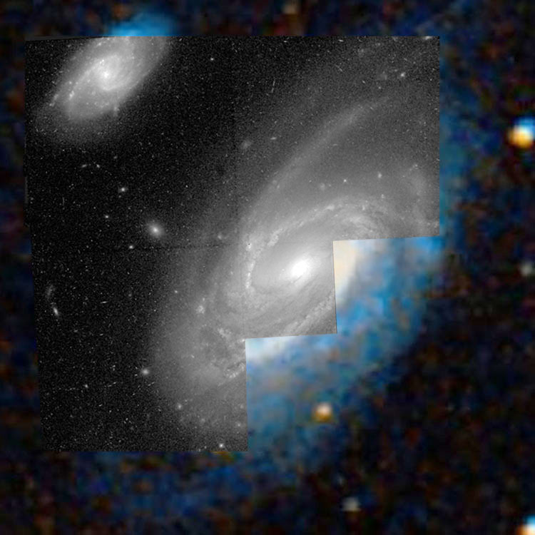 'Raw' HST image of spiral galaxies NGC 1241 and 1242, also known as Arp 304, overlaid on a DSS background to fill in missing regions