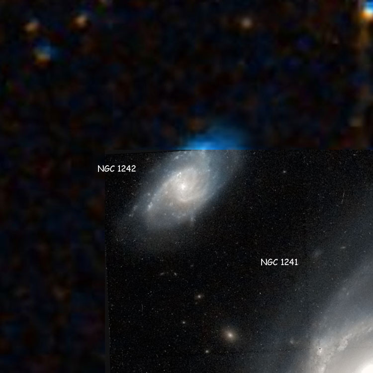 'Raw' HST image of spiral galaxy 1242 overlaid on a DSS background to cover otherwise missing regions; also shown is part of NGC 1241, with which it comprises Arp 304