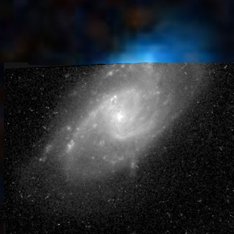 'Raw' HST image of spiral galaxy 1242 overlaid on a DSS background to cover otherwise missing regions