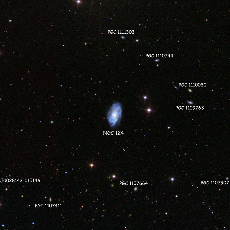 SDSS image of region near spiral galaxy NGC 124, showing numerous PGC objects