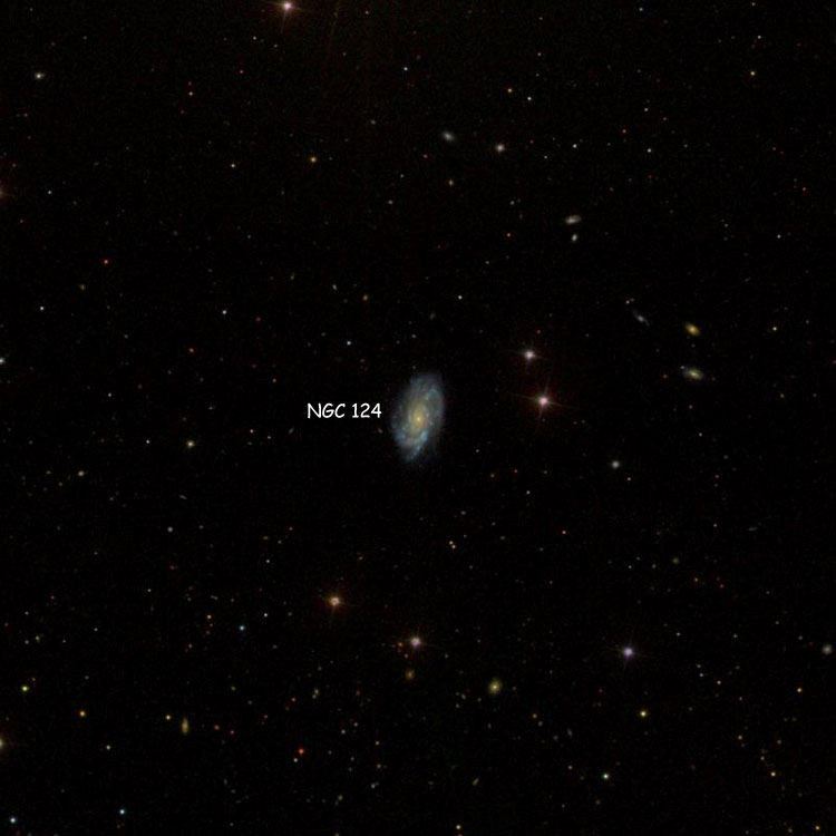 SDSS image of region near spiral galaxy NGC 124