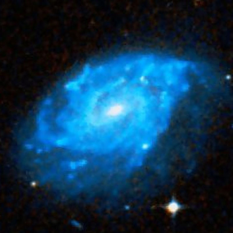 DSS image of spiral galaxy NGC 1255