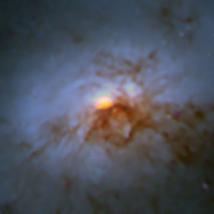 HST/ALMA image of lenticular galaxy NGC 1266