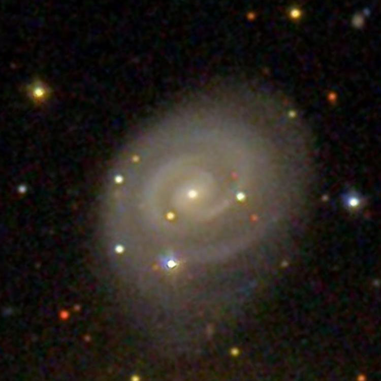 SDSS image of spiral galaxy NGC 1268