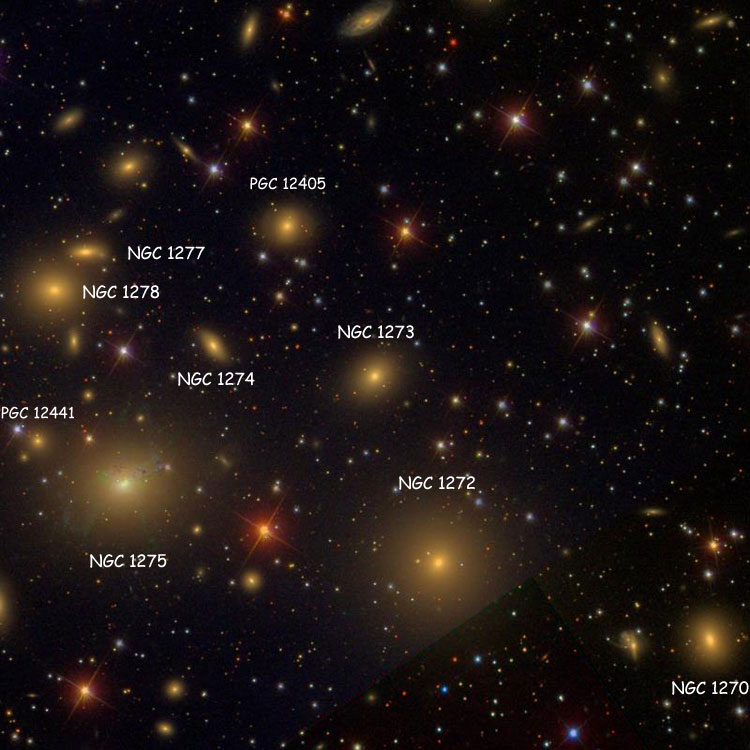 SDSS image of region near lenticular galaxy NGC 1273, also showing NGC 1270, NGC 1272, NGC 1274, NGC 1275, NGC 1277, NGC 1278 and PGC 12405 (which is often misidentified as IC 1907)