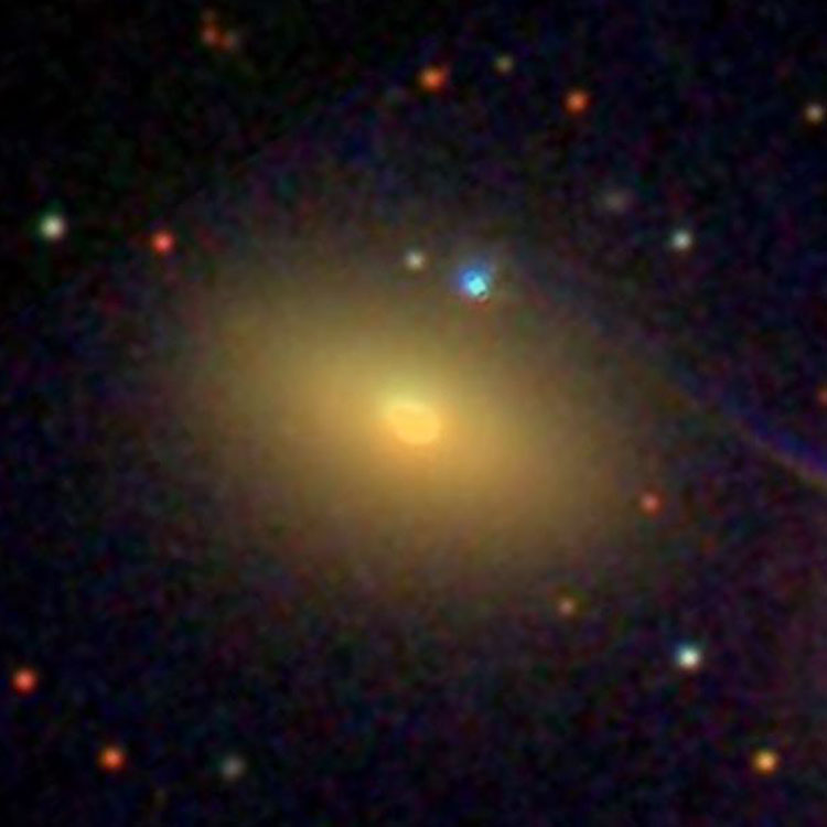 SDSS image of elliptical galaxy NGC 1281